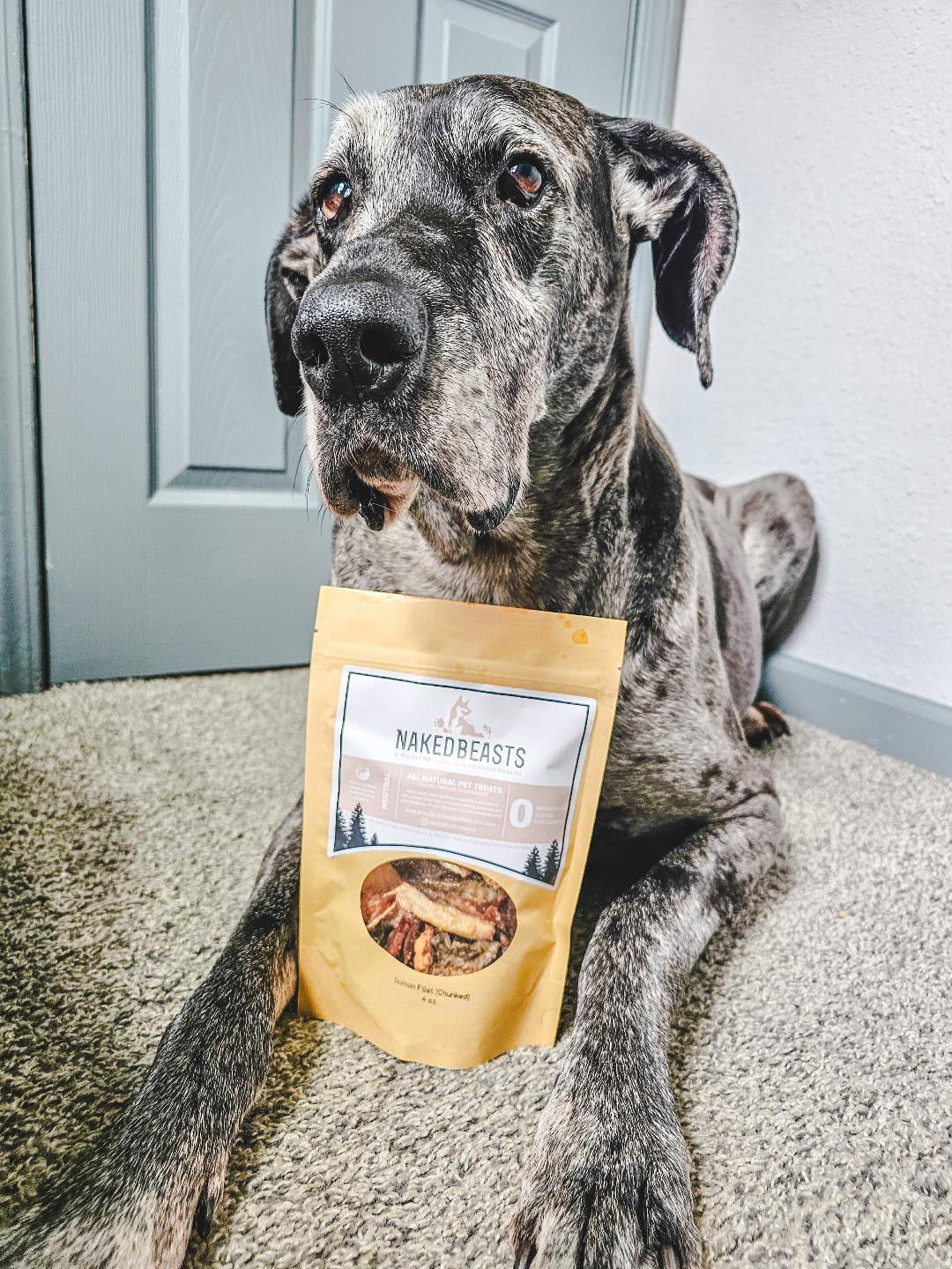 Purrfect Kingdom™ - Natural Salmon Fillet Reward Chew Treat