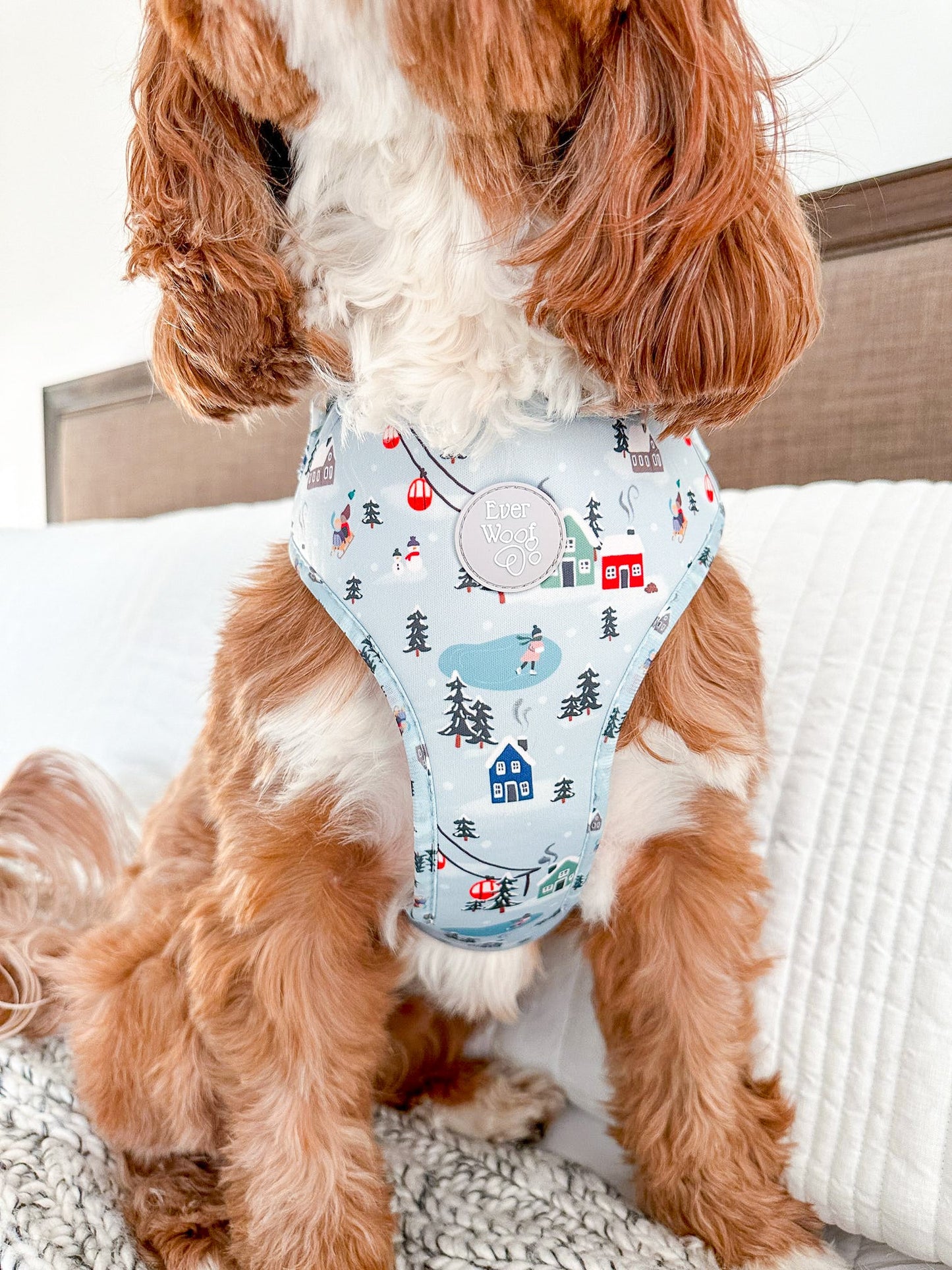 Pet Harness Harness Snowy Slopes Adjustable Harness Essentia - size and texture image for pet harness