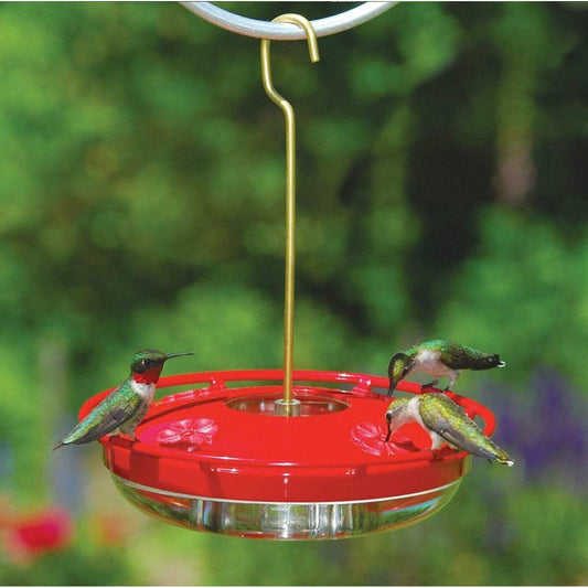 Hummingbird Feeder – Creative Outdoor Hanging Feeding Tool