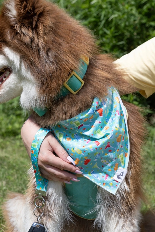 Seaside Sips Dog Bandana & Matching Keychain - Purrfect Pet Kingdom