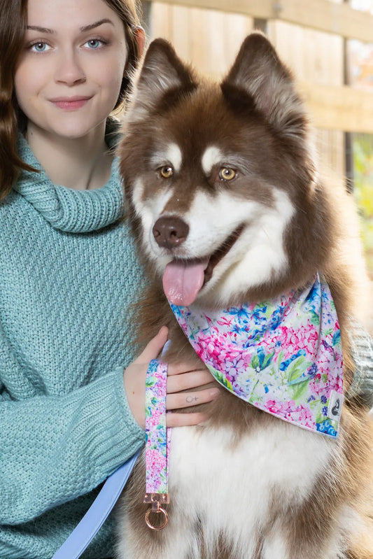 Hydrangea Haven Dog Bandana & Matching Keychain - Purrfect Pet Kingdom
