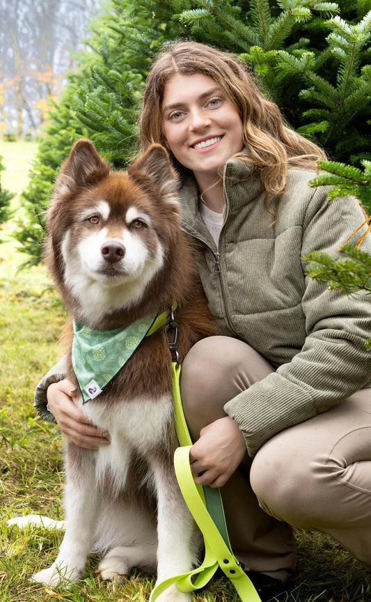 Mossy Pine Waterproof Leash Adjustable Dog Walking Gear - detail view