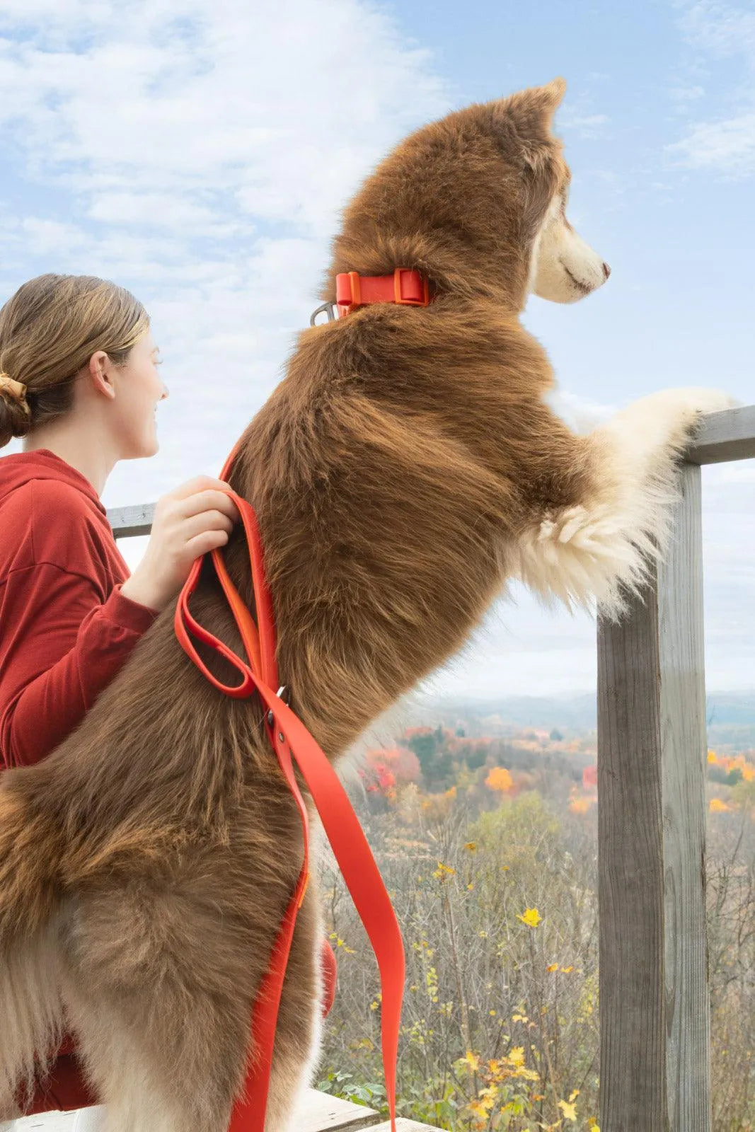 Scarlet Peaks Waterproof Leash - Purrfect Pet Kingdom