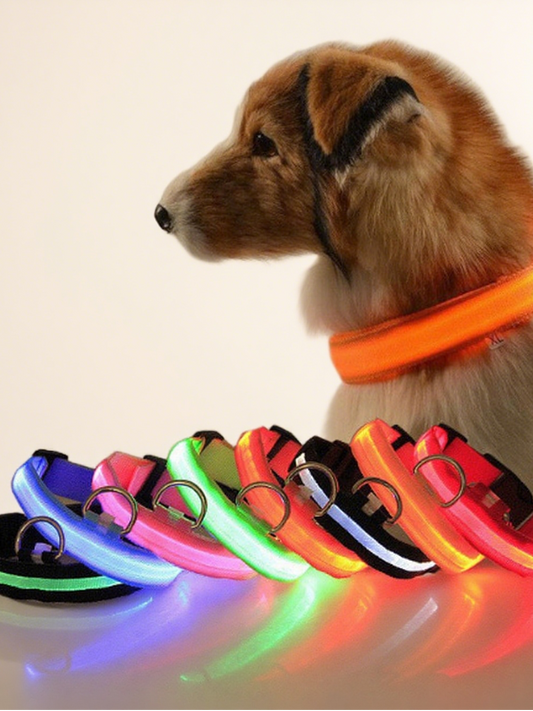 LED Glowing Pet Collar - Yellow - detail view
