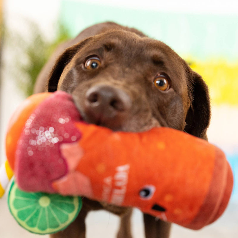 Muttchelada with Lime Adornment Plush Squeaky Dog Toy