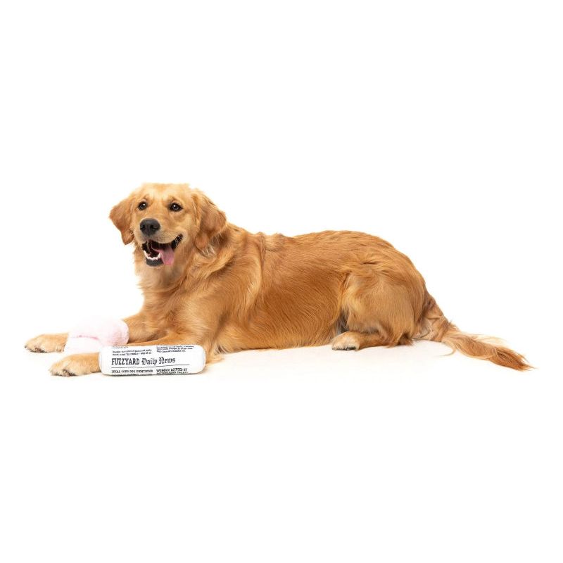 Fetch My Slippers & Paper Squeaky Plush Dog Toy Set - 2pk