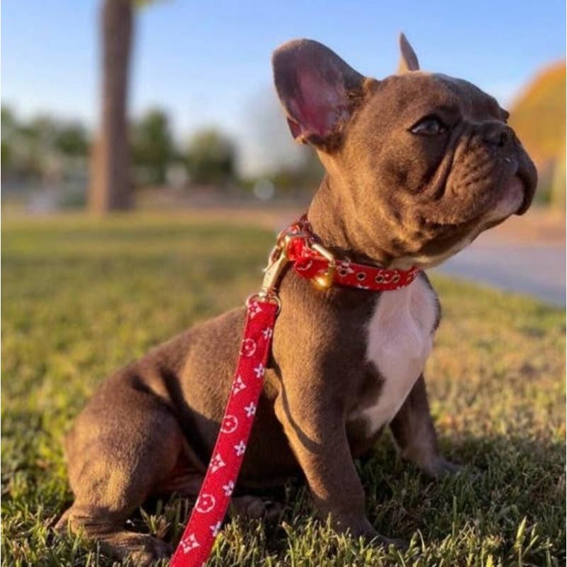 Lauren Luxury Red Pet Leash