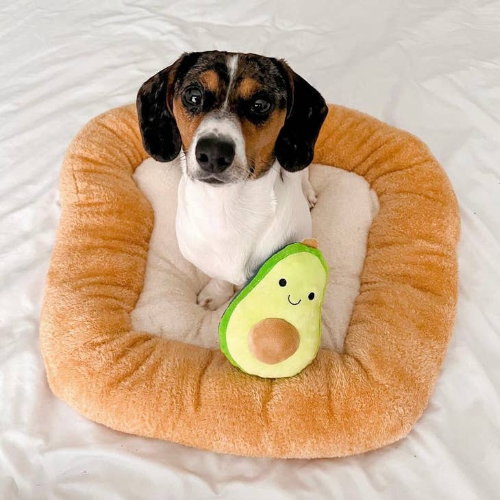 Toast Pet Bed with Avocado Toy