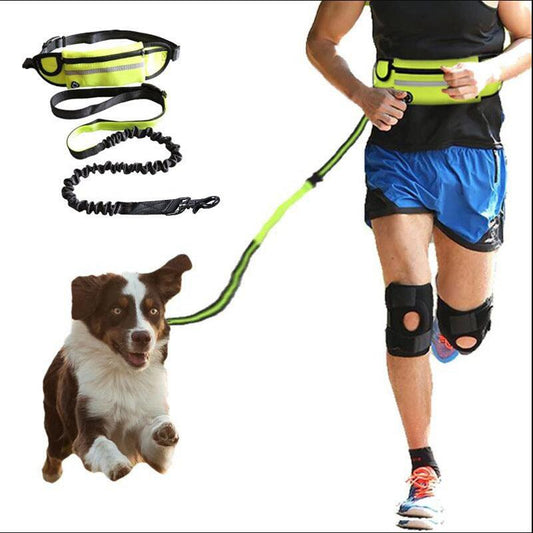 Hands Free Dog Leash with Waist Bag