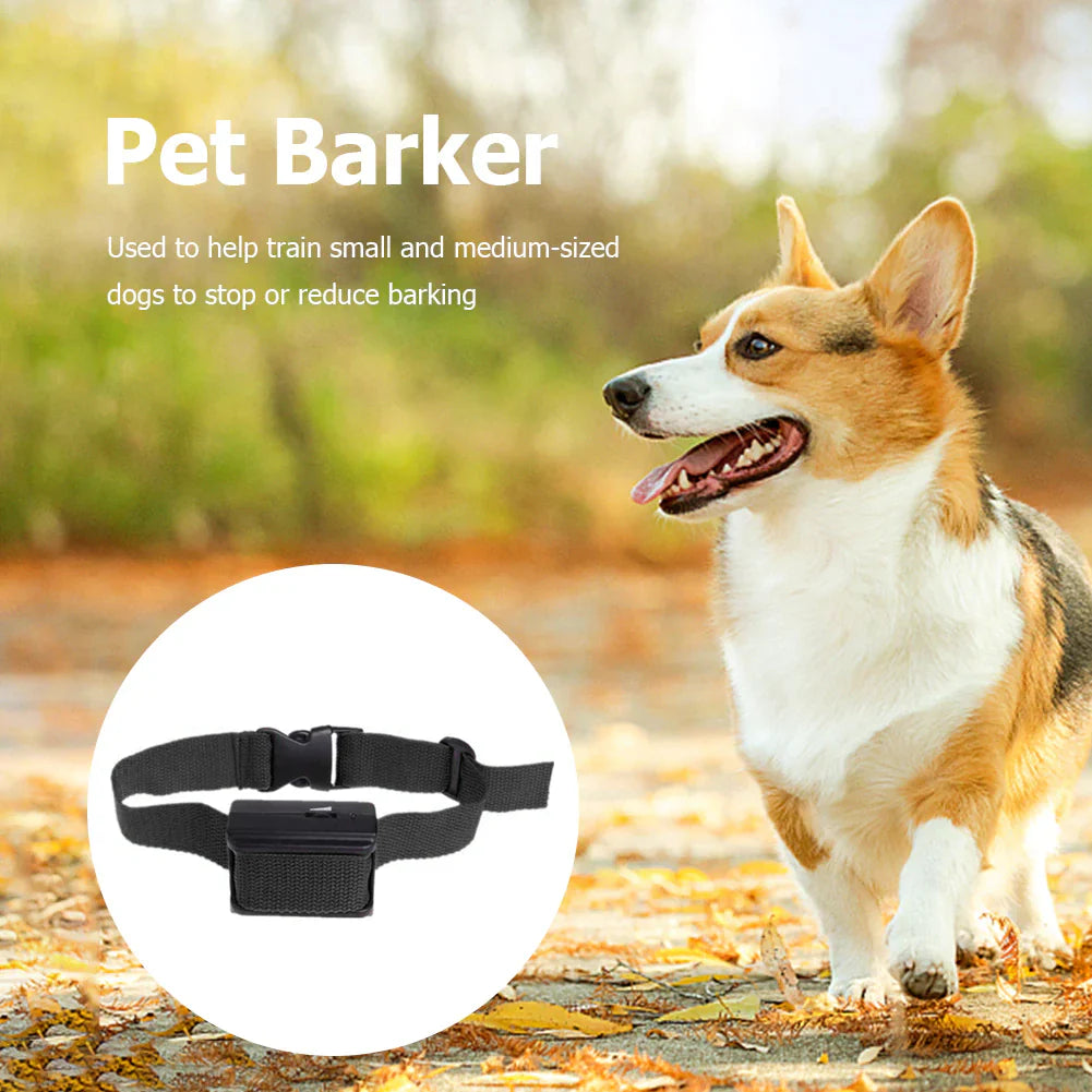 Auto Anti - Bark Dog Training Collar - Ameraeon