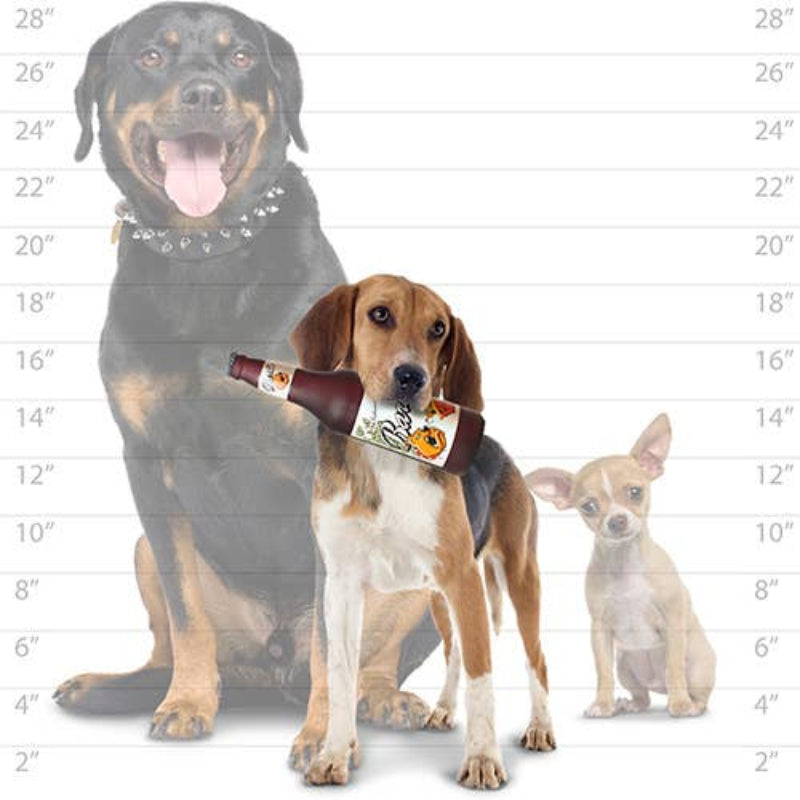 Barks Woof Br Silly Squeaker Bottle Tuffy Novelty Durable Dog Toy