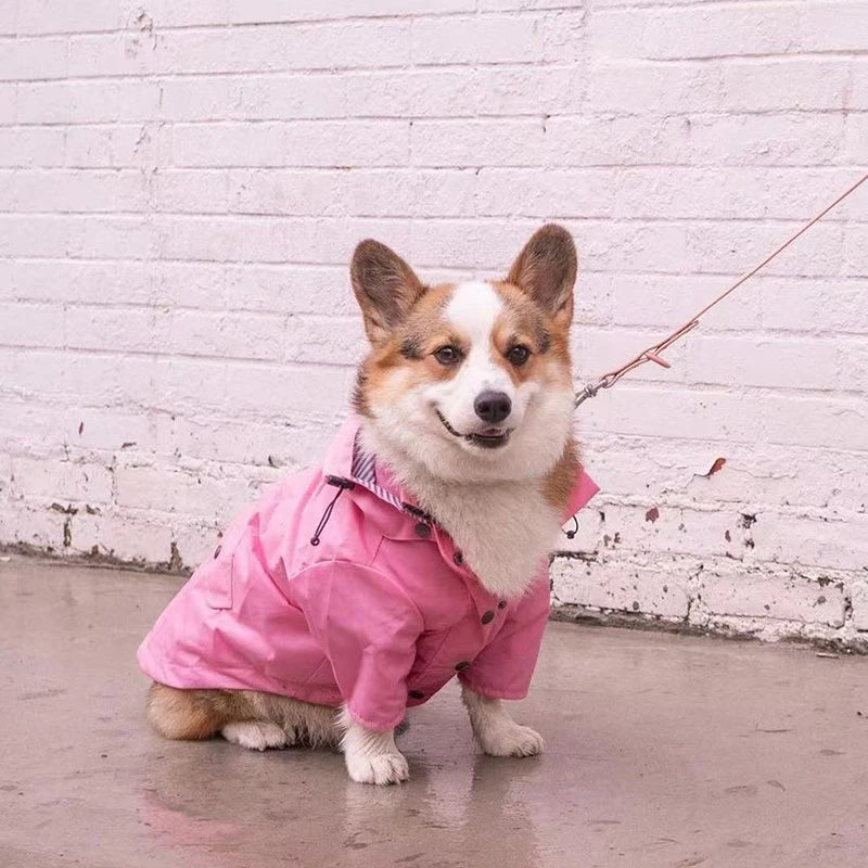 High Quality Waterproof Dog Coat - Premium All-Weather Protection ๐ง๏ธ
