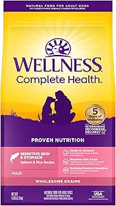 Wellness Complete Health Dry Dog Sensitive Skin & Stomach Salmon & Rice Adult - Wellness Dry Dog Food - The Family Pet