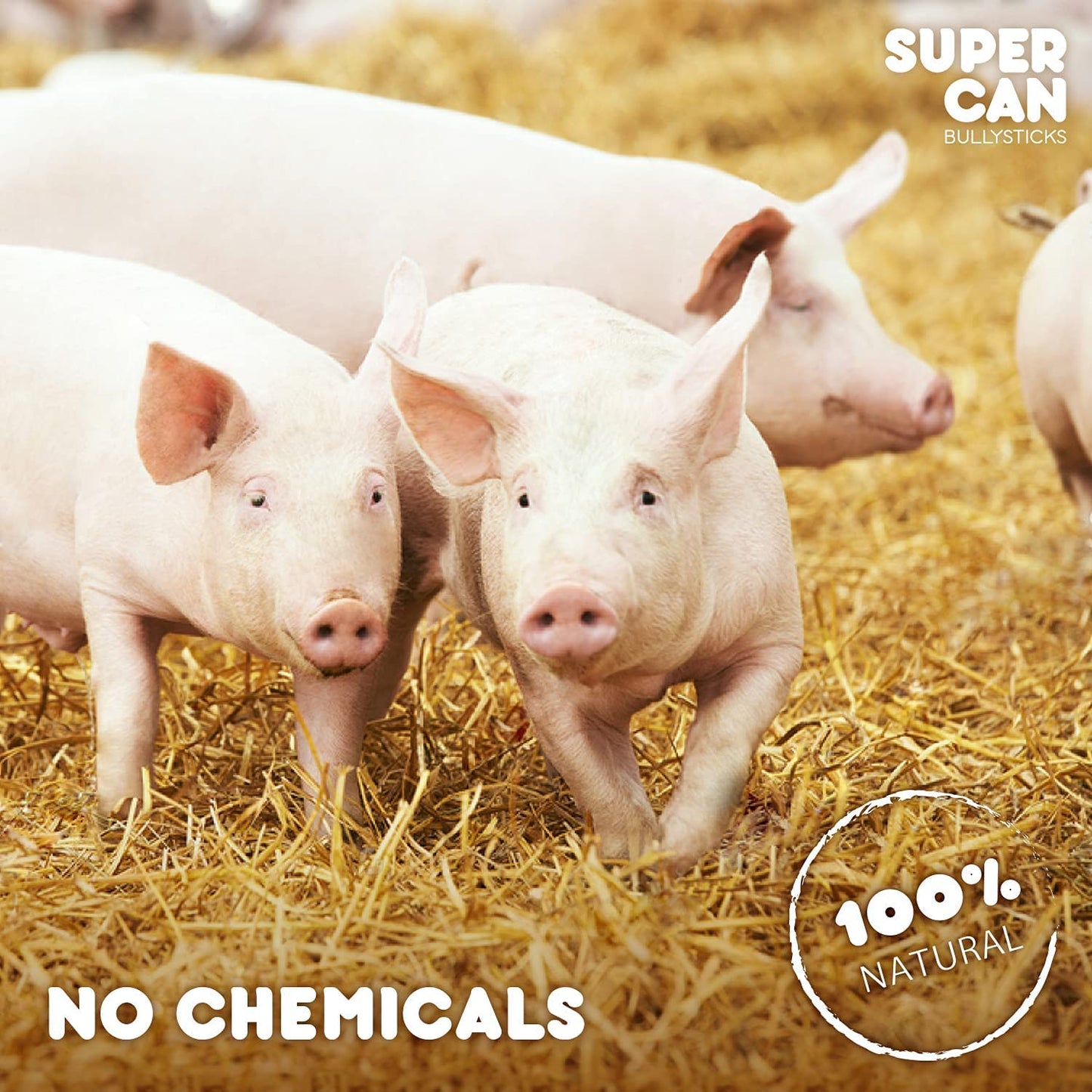 Porky Lung Fillets 12 oz - Purrfect Pet Kingdom