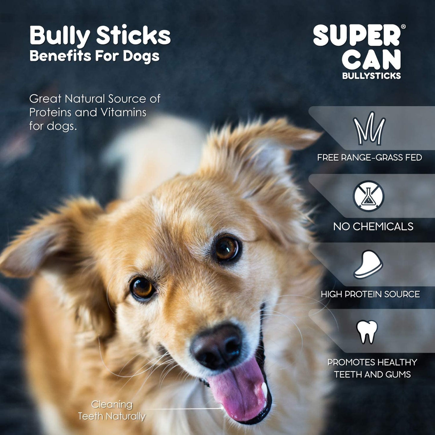 Dog Treats Bully Sticks 12 Inch Standard 100% Natural Beef