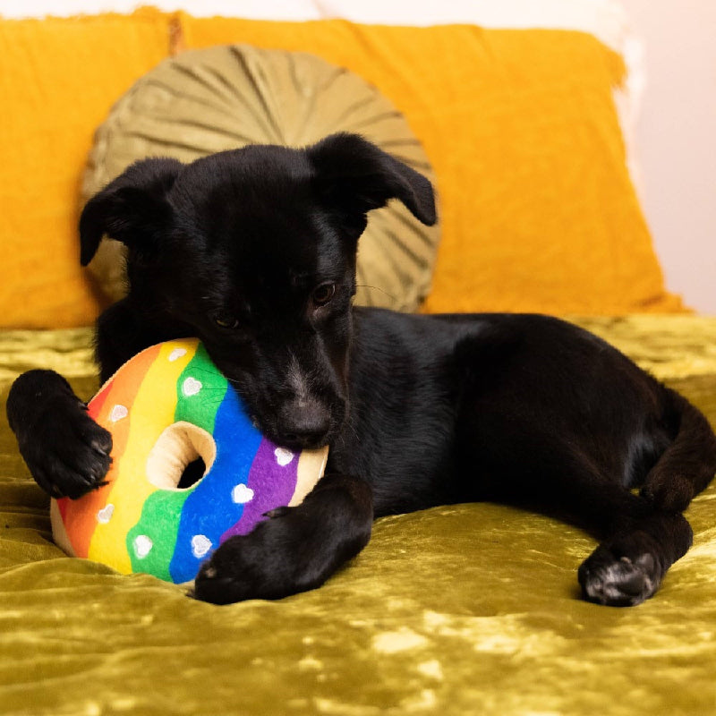 Rainbow Pride Plush Squeaky Donut Dog Toy - 2 Sizes
