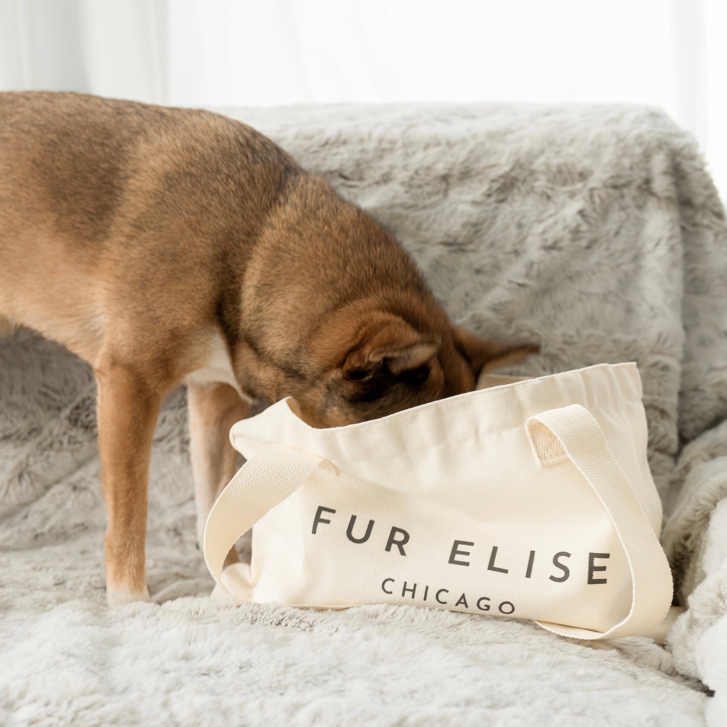 Logo Canvas Tote Bag - Totes - Elise Galleria