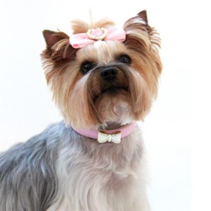Crystal Bow Pet Collar in Pink or Black