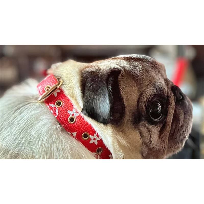 Lauren Luxury Red Dog Collar
