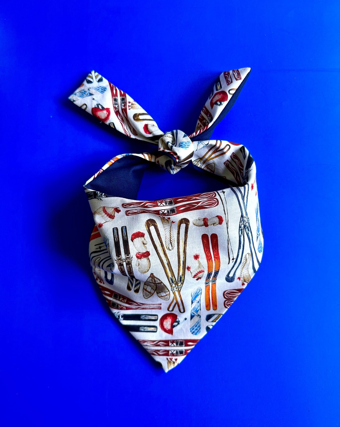 Skiing Dog Bandana - Purrfect Pet Kingdom