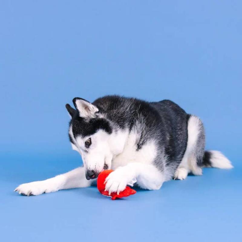 Reel Me In Red Fish Rubber & Plush Dog Toy