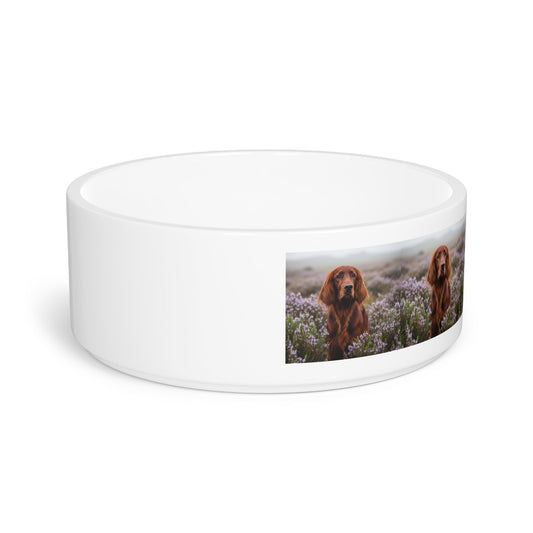 Irish Setter Pet Bowl