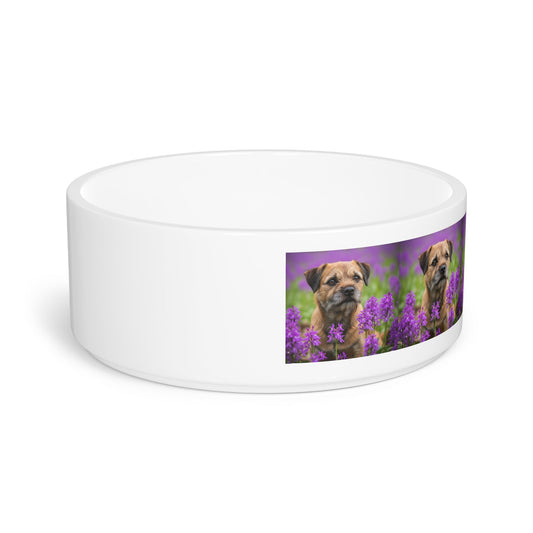 Border Terrier Pet Bowl