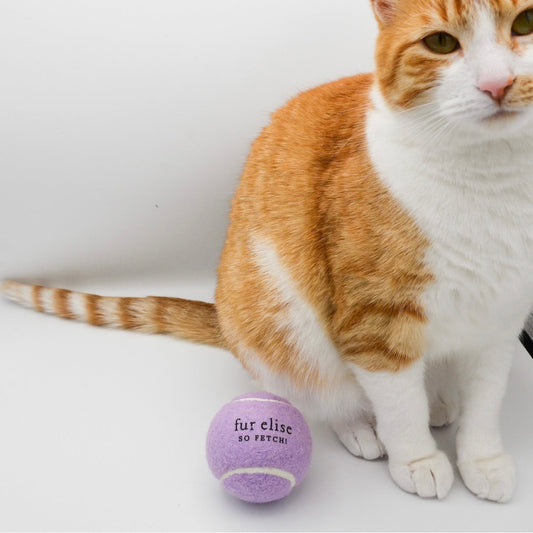 So Fetch! Tennis Ball - Lilac - Tennis Ball - Elise Galleria
