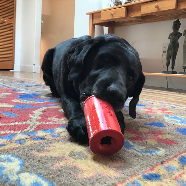 SP Retro Soda Can - Chew Dog Toy - Treat Dispenser - Red Lg