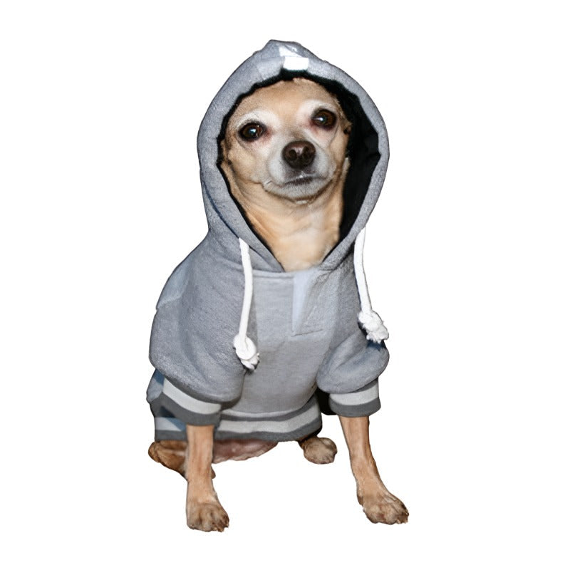 Raiders Team Dog Hoodie