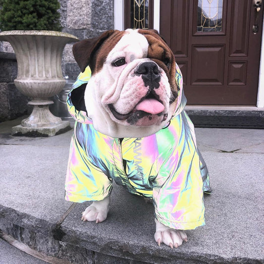 Windproof And Rainproof Stormtrooper Coat North Dog Face For
