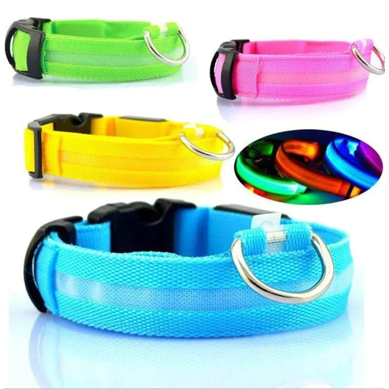Royal Luminous Safety Pet Collar Adjustable LED Night Visibility ๐ก๐