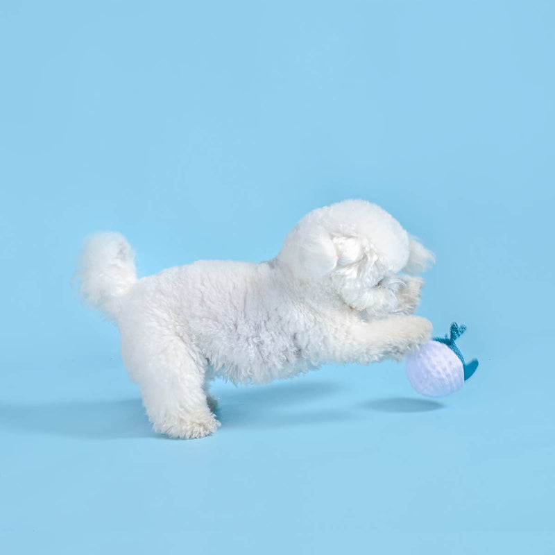 Ocean Pals Blue Dolphin Ball Dog Toy