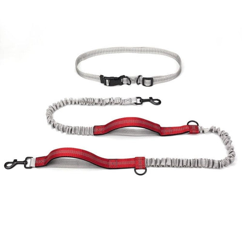 Ultimate Outdoor Adventure Dog Leash - Pets - THRIXINE