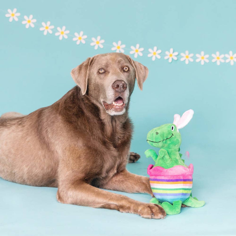 Easter Just Hatched Egg Bunny Ears Rex Plush Dog Toy
