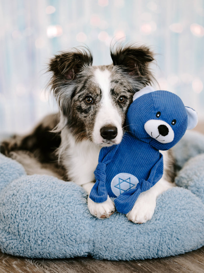 Hanukkah Corduroy Cuddlerz Blue Bear Dog Toy