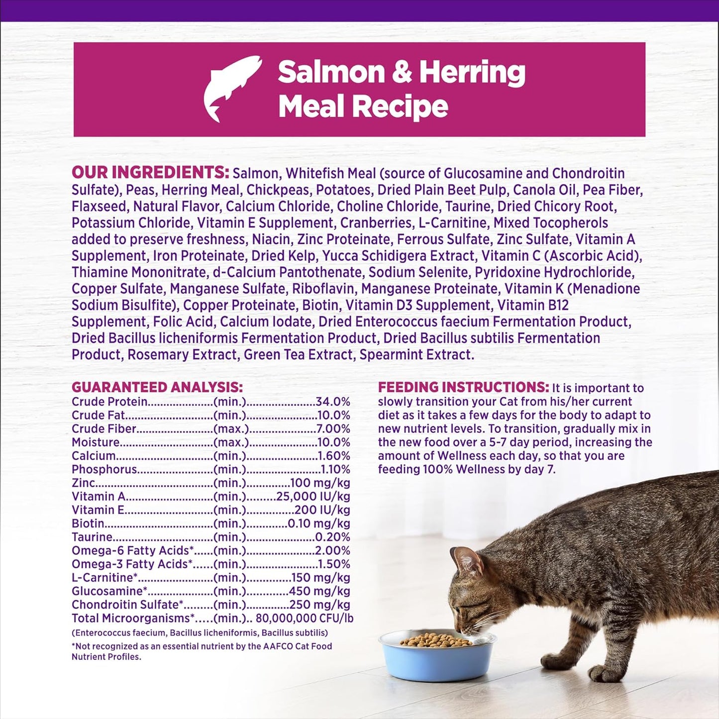 Wellness Complete Health Adult Grain Free Indoor Salmon and Herring Cat Food (5.5lb) - Wellness Cat Food - The Family Pet