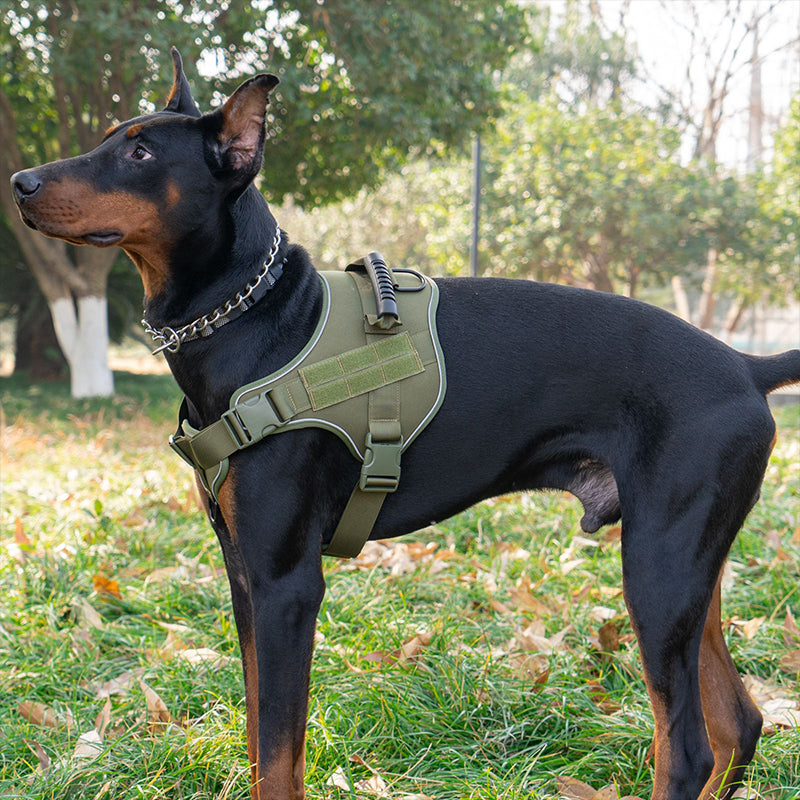 Tactical dog vest: for large dogs (German Shepherd, Golden Retriever) – training, military-style accessories. - Purrfect Pet Kingdom