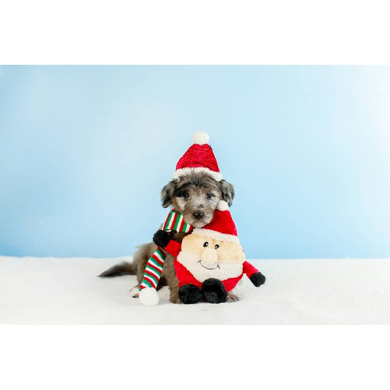 Holiday Brainey Santa Claus Dog Toy