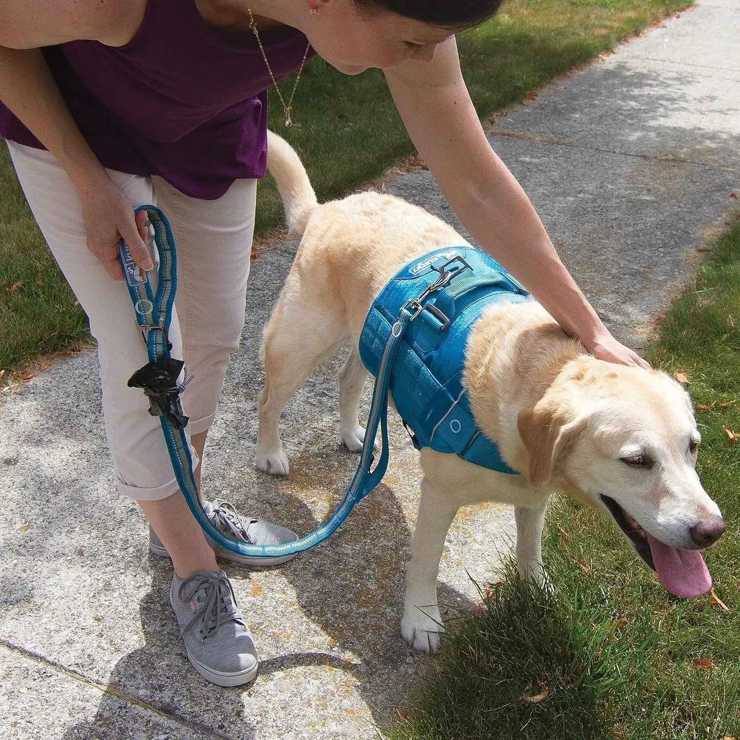 Rsg Stub Leash for Dogs | Adjustable Dog Leash | Hands Free Dog