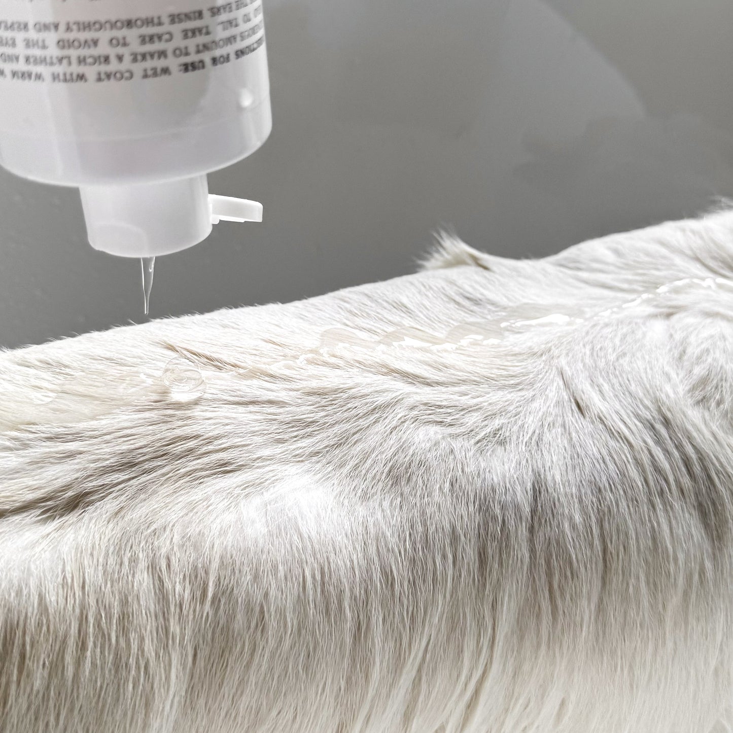 Le Pet Wash - Pet Wash - Elise Galleria