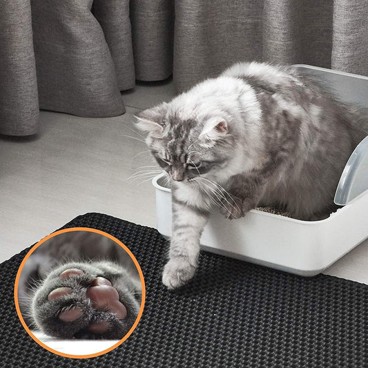 Cat Litter Mat - Double Layer Trapping Design