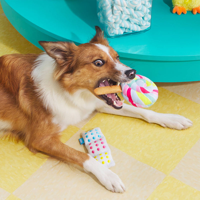 Lolly Palooza Plush Dog Toy Set - 2 Pc