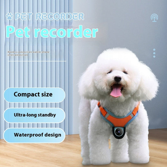Pets Recorder Pet Tracker Collar with Motion Camera for Pets
