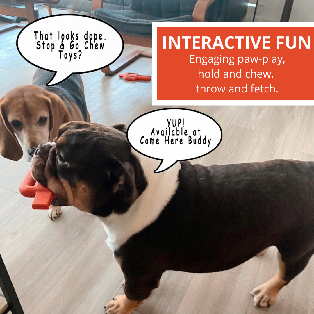Dog Chew Toy - Dog Toys - Come Here Buddy