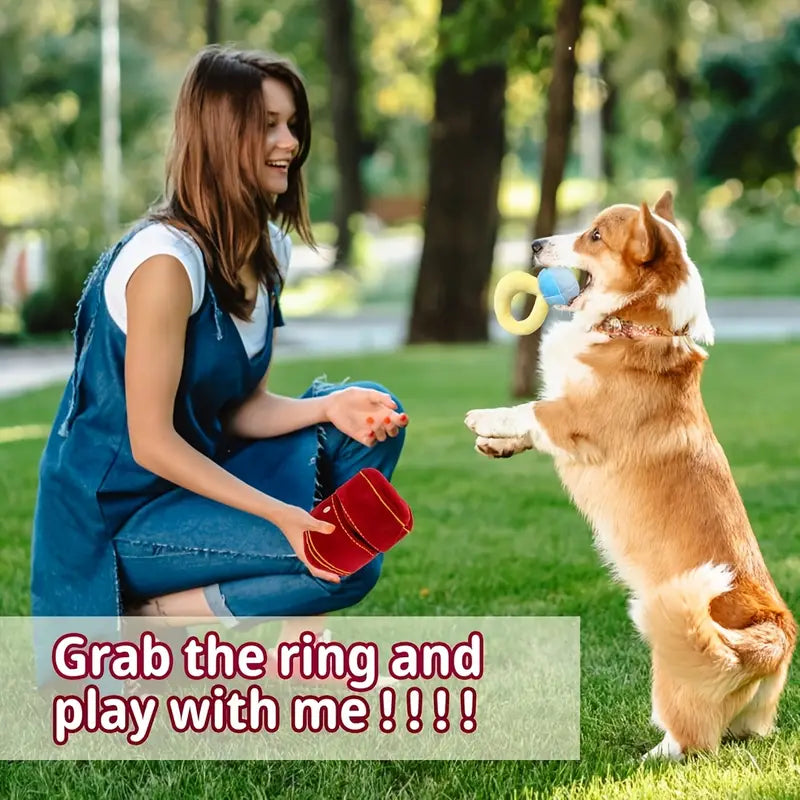 Luxury Inspired Fun Ring in Plush Red Ring Box Interactive Dog Toy