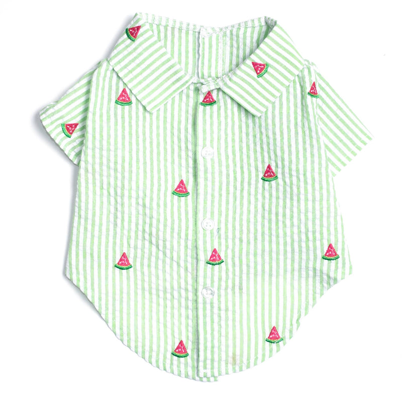 Green Stripe Watermelon Collared Dog Shirt