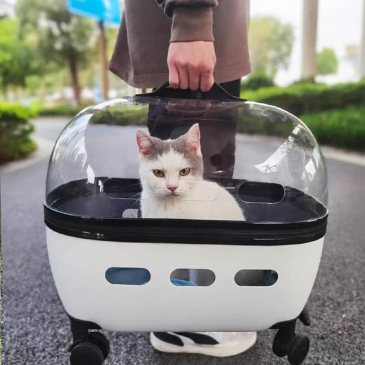 New Transparent Capsule Pet Travel Trolley Carriers Bag Stroller for 10kg Puppies Dogs Cat with Wheel - Purrfect Pet Kingdom
