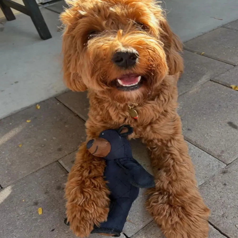 Dog Plush Toy Squeaky Bear Dental Chew Interactive