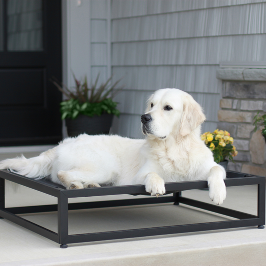 The Up Pup Raised Dog Bed
